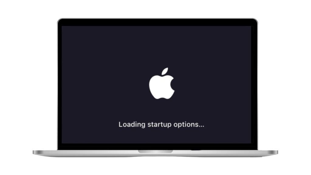 loading startup options screen on mac