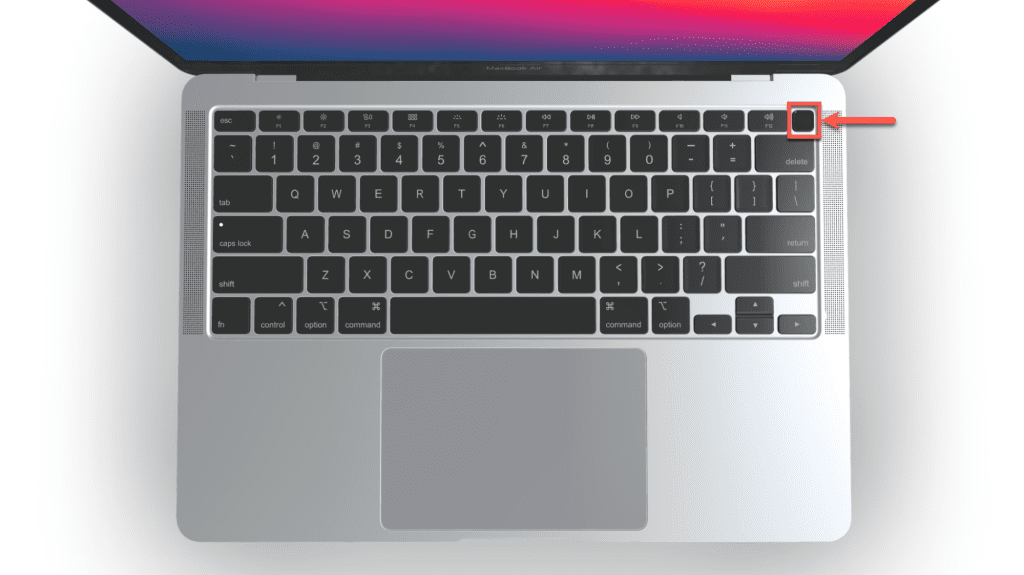 press and hold the power button on your mac