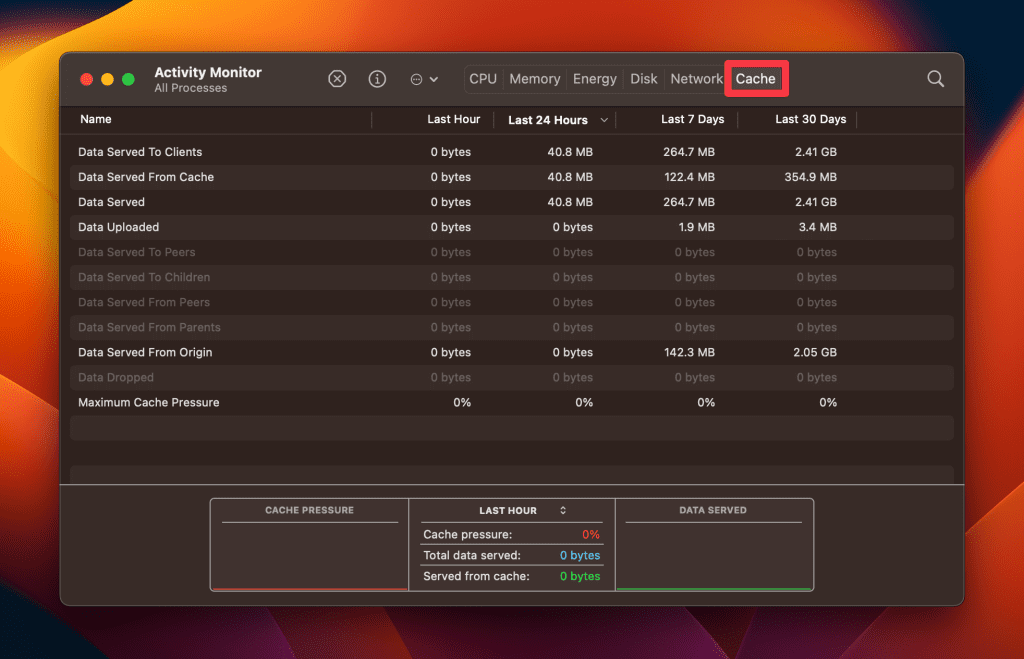 cache tab in activity monitor