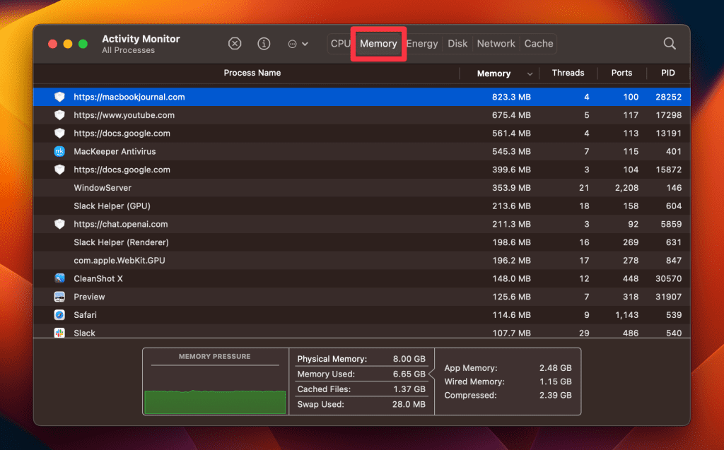 memory tab in activity monitor