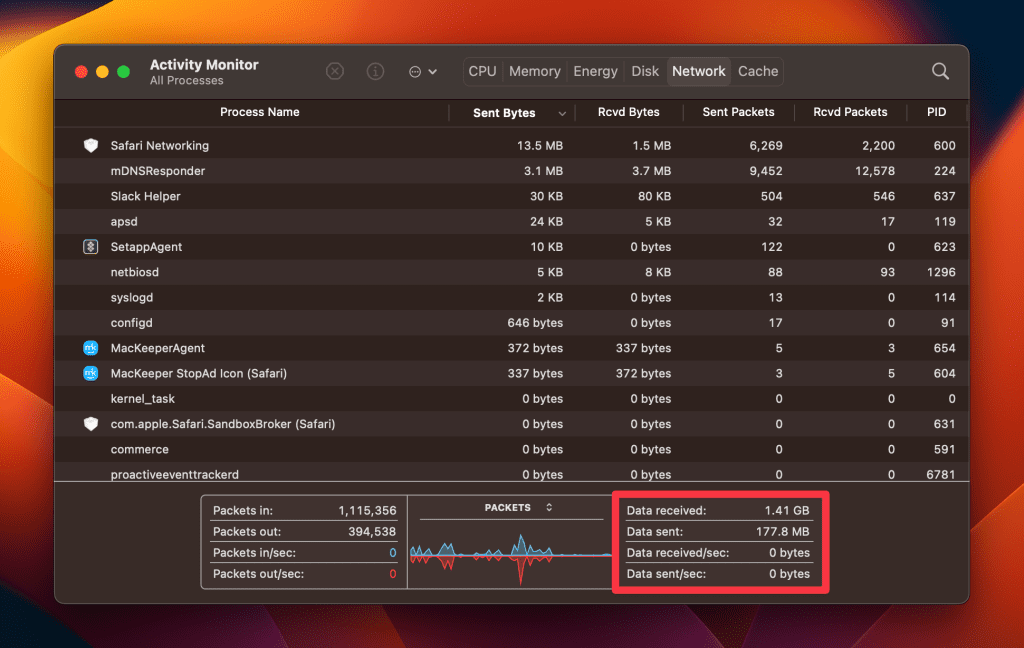 network stats in network tab