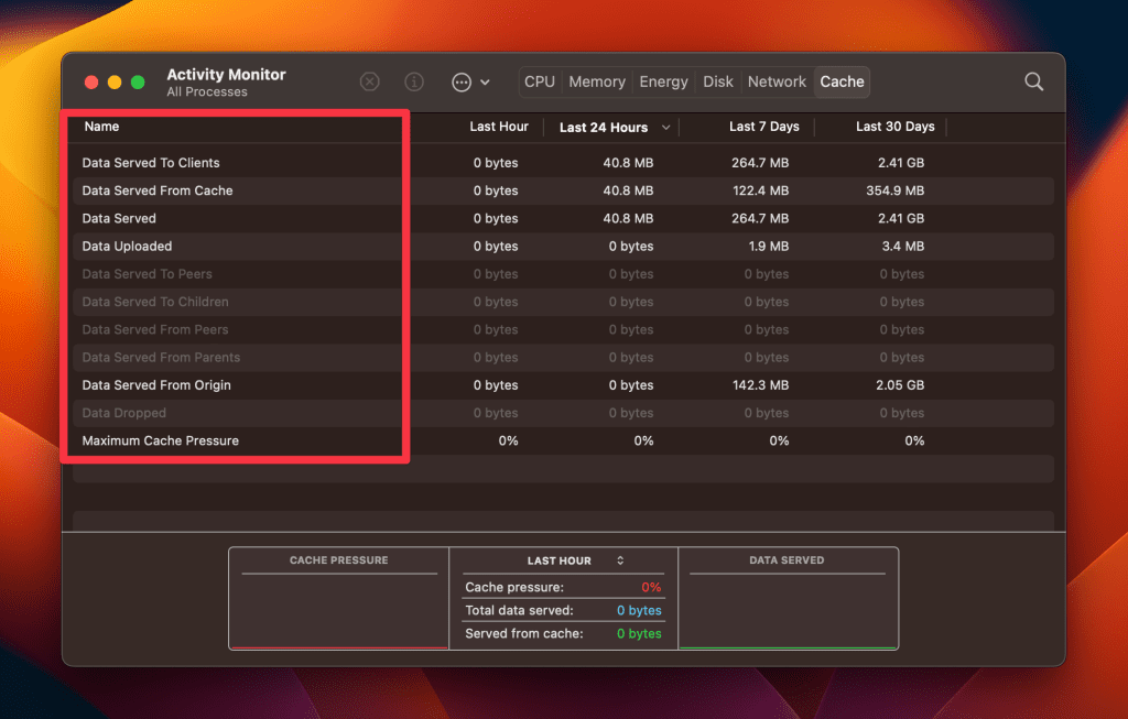 types of cache in activity monitor