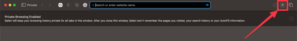 click the plus icon in safari private browsing window