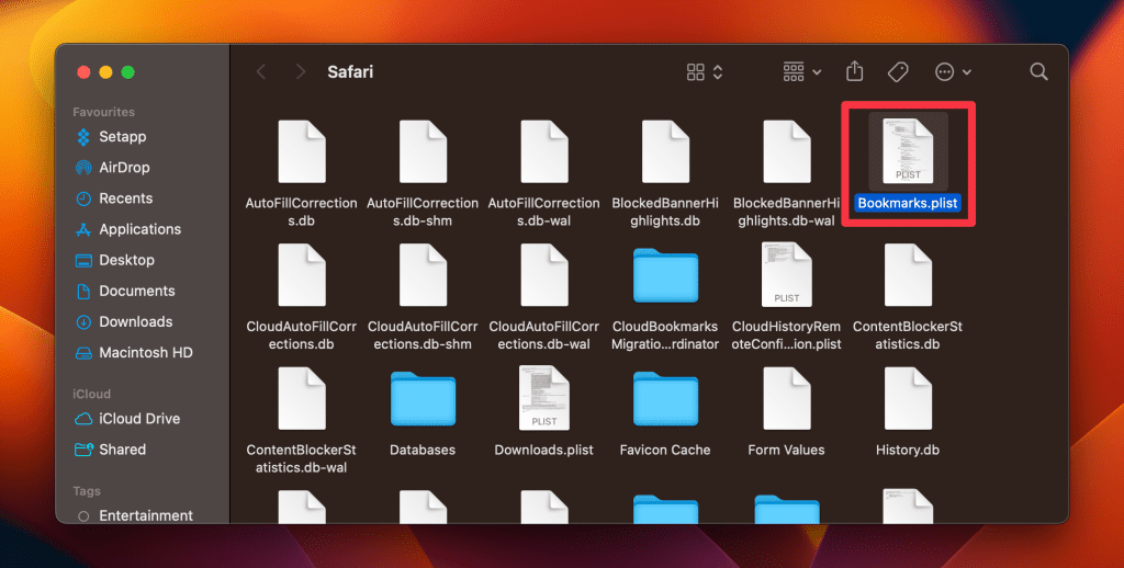 delete all files except bookmarks plist file