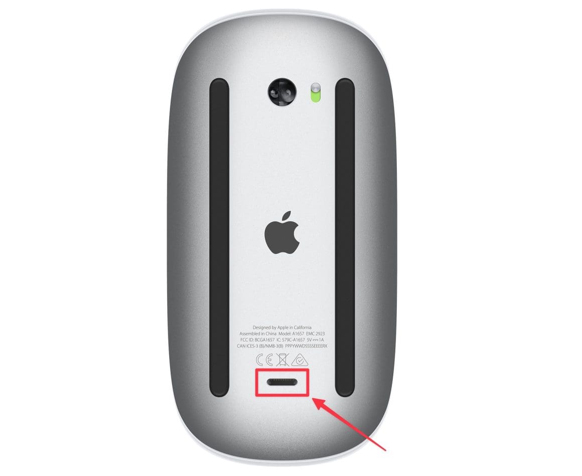 Apple Mouse Not Working 9 Best Ways to Fix